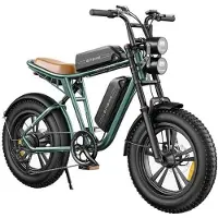 ENGWE M20 2*13Ah Batteries 20*4.0 Pouces Pneus 750W Moteur Brushless 45km/h Vitesse Max Freins à Disque Avant et Arrière grön