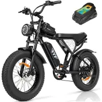 Ridstar Vélo électrique - RIDSTAR - YVY C20 - Moteur 250W - Batterie 48V 15Ah - 25KM autonomie - Vitesse max 32 km/h