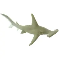Safari Ltd. Hammerhead Shark Figurine - Detaljerad 6.5 " Plastmodellfigur - Rolig pedagogisk leksak fr pojkar flickor och barn ldrar 1+