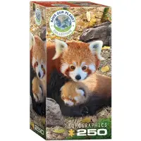 Eurographics Red Pandas 250-bitars pussel