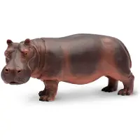 Safari Ltd. Hippopotamus Figurine - Realistisk 5,5" Hippo Figure - Pedagogisk leksak fr pojkar, flickor och barn i ldrarna 3+