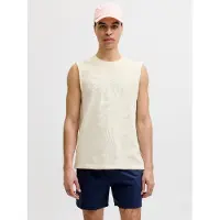 Jack & Jones T-shirt 'JORHyeres' ullvit