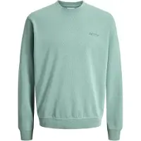 Jack & Jones Sweatshirt 'JJEArchive' turkos