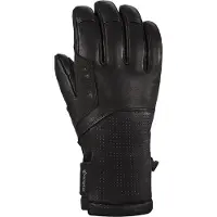 Dakine Kodiak Gore-tex T1-r Handskar