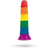 Vuxen Prider - realistisk dildo - 19 cm - regnbåge