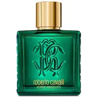 Roberto Cavalli Uomo Verde Assoluto Eau de Parfum 100 ml (för män)