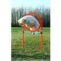 Trixie Hula Hula-ring För Smidighet