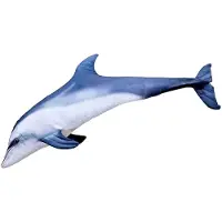 Gaby Bottlenose-delfinjättekudde