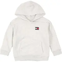Tommy Hilfiger Flag Logo Terry Hoody