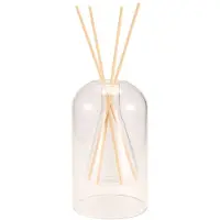 Semoic FöRvaringsbehåLlare Diffuserflaskor Aromaterapi Diffuserflaska Modern Diffuser Glasflaska Eterisk Olja Organizers,B