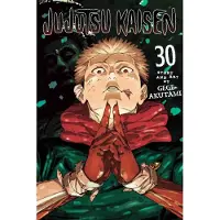 Jujutsu Kaisen, Vol. 30