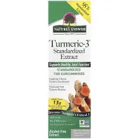 Natures Answer , Turmeric-3Æ, Alkoholfritt, 1 fl oz (30 ml)