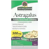 Natures Answer , Astragalus, 500 mg, 60 vegetabiliska kapslar