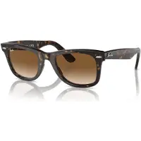 Ray-Ban Wayfarer Tortoise Solglasögon clear gradient brown