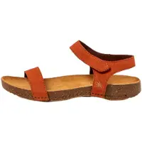 El naturalista N1119 Sandaler
