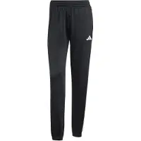 Adidas Sportbyxa 'DAYREADY ' svart / vit