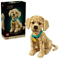 LEGO - Icons - Golden Retriever Puppy