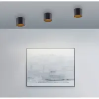 Pure Taklampa Point, dimbar, Svart, Badrum, Metall, Modern, Taklampa