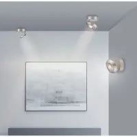 Paul Neuhaus LED taklampa Oculis, dimbar, Förkromad / silver, Vardagsrum / matsal, Modern, LED-taklampa