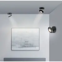 Paul Neuhaus LED taklampa Oculis, dimbar, Svart, Vardagsrum / matsal, Modern, LED-taklampa
