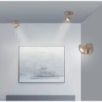 Pure LED taklampa Oculis, dimbar, Brun / mässing, Vardagsrum / matsal, Modern, LED-taklampa