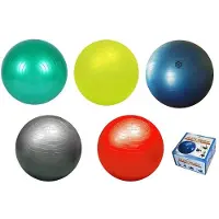 Softee Pvc Fitboll