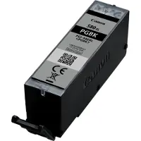 Canon Ink 2024C001 PGI-580XL Black