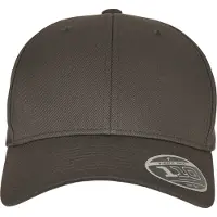 Flexfit 110 Curved Visor Snapback Cap Grå Man