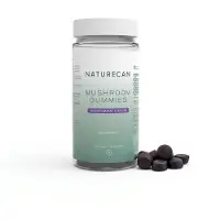 Naturecan Lion’s mane, Chaga, Reishi Svampkomplex Gummies