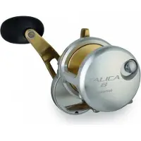 Shimano Talica multirulle