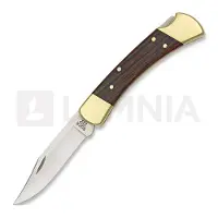 Buck Model 110 Folding Hunter