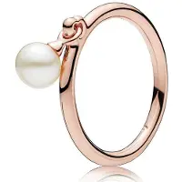 Allbestart 925 Sterling Silver Ring Rose Love Lock Hjärta Ringar För Kvinnor Bröllopsfest smycken 9