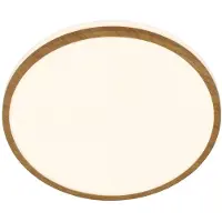 Briloner Taklampa Acorus, Ljust trä, Badrum, Syntetmaterial, Modern, Taklampa