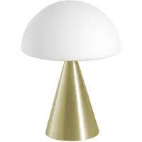 FABAS LUCE LED bordslampa Blip, dimbar, Mässing / guld, Vardagsrum / matsal, Glas, Modern, LED-bordslampa