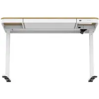 ActiveJet skrivbord med elektrisk höjdjustering 140x70 ET119W-C vit/ek
