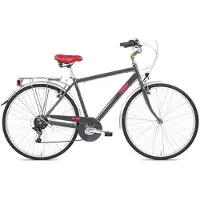 Letoule Lafolie Man 28´´ 6s Cykel