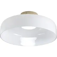 FABAS LUCE LED taklampa Lunar, dimbar, Vitt / opal, Vardagsrum / matsal, Glas, Modern, LED-taklampa