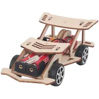 Fashnics Gör-det-själv trä elektrisk racerbils fyrhjulsdriven racerbilsmontering vetenskapligt experimentkit BARN STEM pedagogiska leksaker