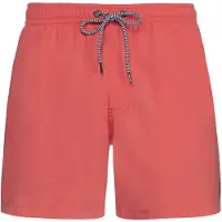 Protest Davey Simshorts