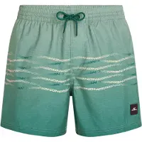 O'Neill First 15'' Boardshorts green heritage fl fl Storlek XXL