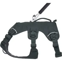 Ruffwear Web Master Fleranvndningsstd Hundsele Vandring och sprlpning Service och arbete Vardagsklder Basaltgr X-Small