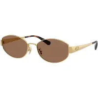 Coach Solglasögon 'CDP44' brun / pueblo / guld