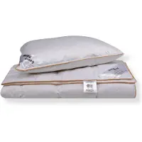 Borg Livinig Täcke- och kuddset med gåsdun - Sommartäcke - 140x220 cm + 60x63 cm