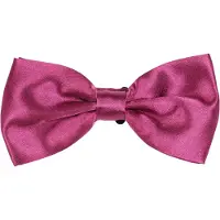 Suitable Satin Ribbon Aubergine Röd