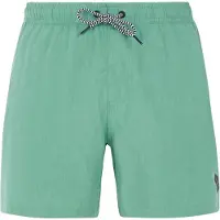 Protest Davey Simshorts