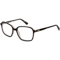 Superdry Glasögonbåge SDO-NADARE 103 53