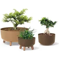 Prosperplast Vazonas Gracia Low Eco Wood DGRL400LW vit eco