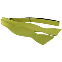 Suitable Självbindande Fluga Limegrön Siden F04 Grön