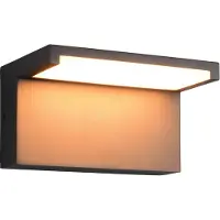 TRIO Lighting Vägglampa utomhus Ravi, Svart, Aluminium / grå / zink, Modern, Utomhusvägglampa