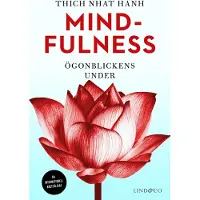 Mindfulness - Ögonblickens Under